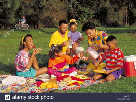 african american family   picnic   park african american