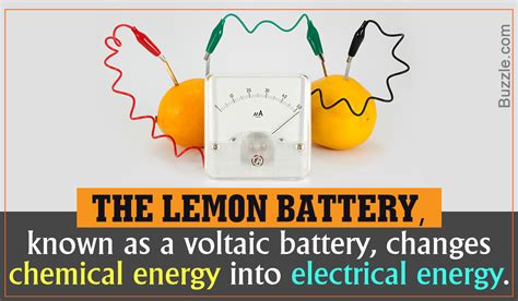 check   crazily fascinating lemon battery experiment science struck