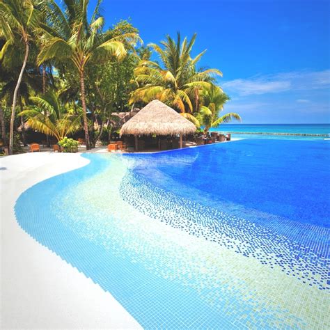 maldives  land  beaches