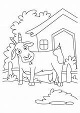 Coloring Billy Goats Gruff Three Pages Library Clipart Line Goat Popular sketch template