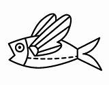 Peixe Volant Poisson Pez Voador Volador Pintar Coloriage Peix Colorier Dibuix Coloritou Dibuixos sketch template