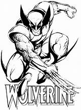Wolverine Coloring Pages Print Color sketch template