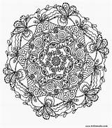 Coloring Pages Adults Printable Advanced Adult Sheet Mandala Colouring Sheets Dragon Color Print Popular Mandalas Library Clipart Some Printables Coloringhome sketch template