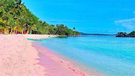 Top 10 Pink Beaches In The World Pink Sand Beach
