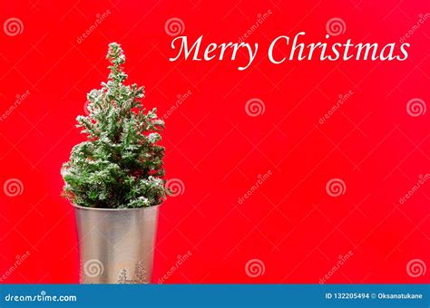 mini christmas tree  red stock photo image  isolated