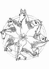 Cheval Kleurplaat Paarden Hugolescargot Pegase Coloriages Paard Adultes Mandalas Pratique Partager Danieguto Licorne sketch template