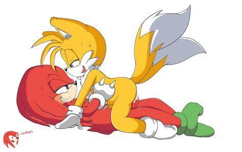 Image 1799188 Knuckles The Echidna Sonic Team Tails Senshion