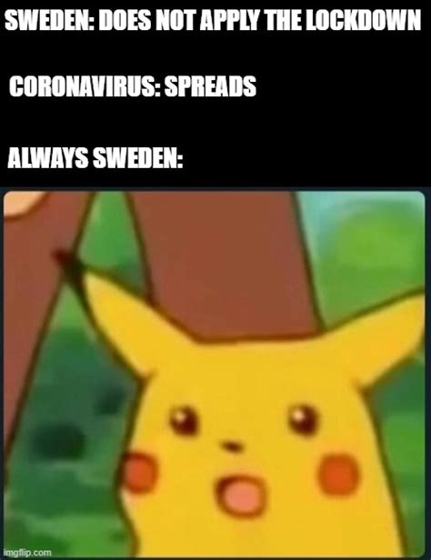the swedes are acting like idiots imgflip