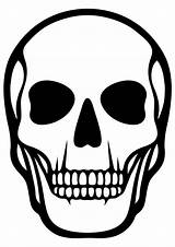 Skull Skeleton Esqueleto Colorir Skelett Ausmalbilder Ausmalbild Coloringonly Coloring4free Skjelett Barnet Ditt Beste Menneskelig Humano Getdrawings Feito Bem sketch template