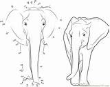Elephant Dots Connect Asian Dot Printable Adults Worksheet Kids Library Clipart Animals Indian Email sketch template