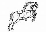 Pferd Springendes Malvorlage sketch template