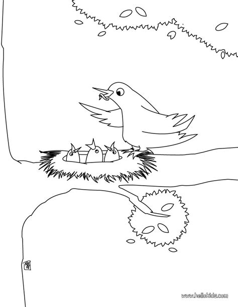 bird nest coloring pages hellokidscom