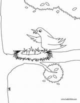 Bird Nest Coloring Pages Color Hellokids Print Online Drawing Sheet Baby sketch template