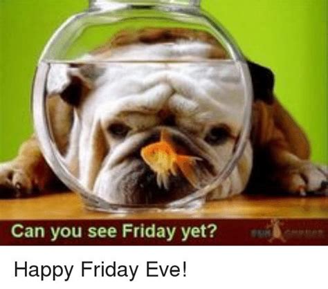 Funny Friday Eve Memes Of 2017 On Me Me Its Friday Eve