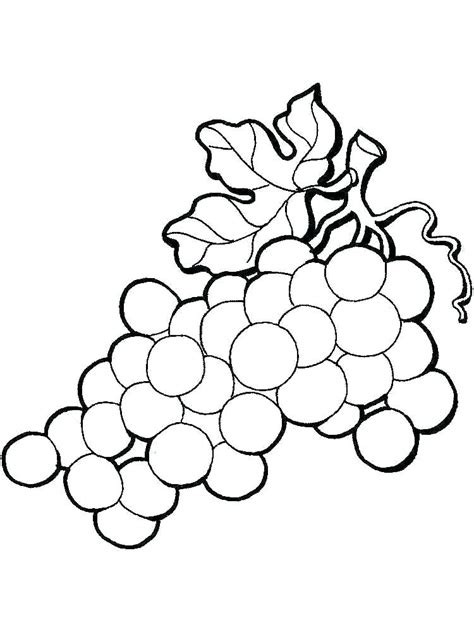 coloring pages grapes coloring page grape pages