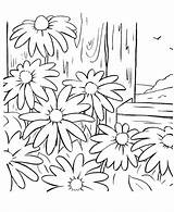 Coloring Spring Pages Bluebonnet Color Season Scene Flower Sheets Nature Scenes Drawing Dementia Kids Activity Activities Printable Getdrawings Bluebonkers Flowers sketch template