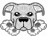 Coloring Pages Dog Mandala Adults Pitbull Adult Puppy Colouring Printable Color Sugar Skull Pit Sheets Para Bull Books Cute Coloriage sketch template
