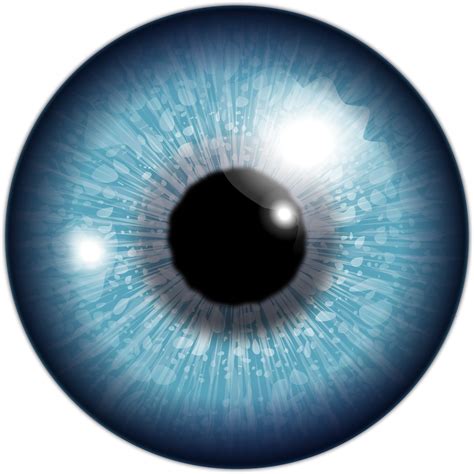 eyeball vector art image  stock photo public domain photo cc images