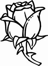Rose Coloring Pages Bud Getcolorings sketch template