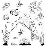 Kolorowanki Ryby Peces Fishes Vissen Kleurplaten Mewarnai Rybki Akwarium Stockillustratie Druku Ilustracja Fish Stockowa Aquarium Grafika sketch template