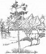 Coloring Pages Yellowstone National Park Landscape Teton Printable Book Range Vacation Nature Woods Color Realistic Google Kids Animals Wyoming Drawing sketch template