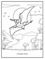 Dinosaurier Flugsaurier Malvorlage Ausmalen sketch template
