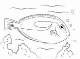 Ausmalbilder Kleurplaat Vissen Tropische Doktorfisch Doktorfische Tang Malvorlage Supercoloring Ausmalbild Tiburo Azulpara sketch template