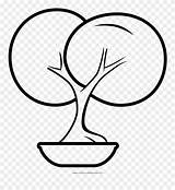 Bonsai Clipartmag Clipart Coloring Tree sketch template