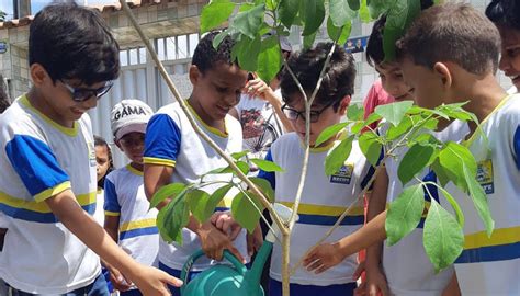 Prefeitura Do Recife Realiza Plantio De Mais De 500 Mudas E Amplia área