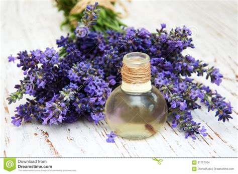 lavender spa stock photo image  life purity background