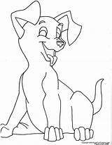 Dog Coloring Newfoundland Getdrawings sketch template