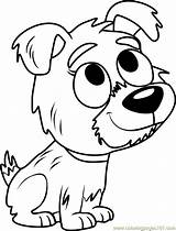 Kiki Puppies Pound Coloring Coloringpages101 Pages Color sketch template