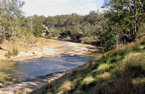 big river campground nsw national parks