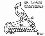 Cardinals Coloring Pages Louis St Baseball Cardinal Logo Stl Molina Yadier Printable Bird Mlb Sports Jersey Arizona Red Softball Sox sketch template