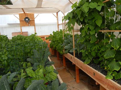 greenhouse january   portable farms