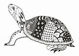 Getekend Schildpad sketch template