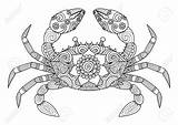 Zentangle Octopus доску выбрать sketch template