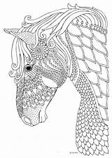 Jumping Horse Coloring Pages Show Getcolorings sketch template