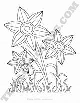 Daffodils Printable sketch template