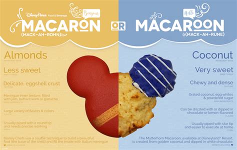 sweet lesson macaroons  macarons disney parks blog
