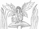 Mushroom Fairy Coloring Pages Forest Robin Fairies Great Blue sketch template