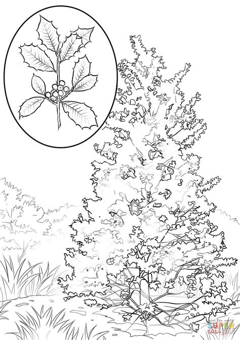 holly leaf coloring sheet
