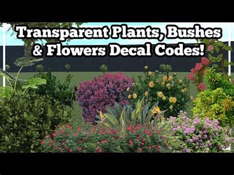 transparent plant bush flower decal codes bloxburg roblox