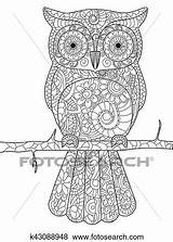 Coloring Adults Owl Branch Vector Book Clip Zentangle Fotosearch Stress Anti Bird Illustration Adult Style sketch template