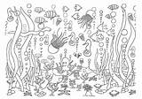 Underwater Animals Diythought Malvorlagen Kinder Zee Relief Linienpapier sketch template