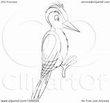 Outline Woodpecker Coloring Illustration Royalty Clip Bannykh Alex Clipart Background sketch template