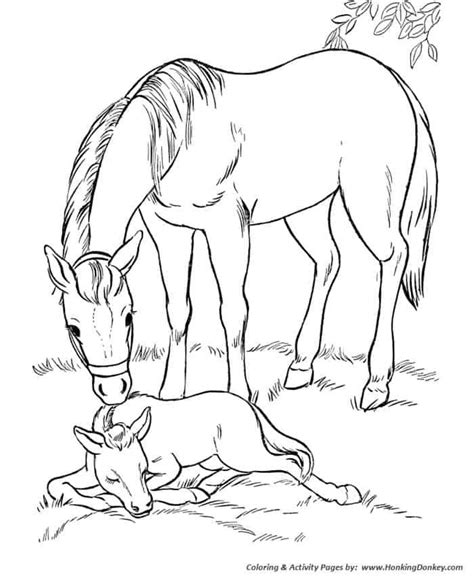 horse  foal coloring page farm animal coloring pages horse