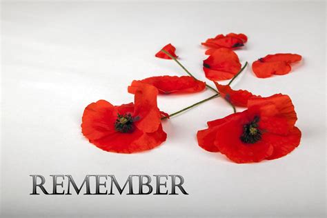 remembrance day    holiday kaare long