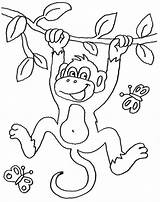 Affe Affen Malen Tiere Malvorlage Malvorlagen Dschungel Monkey Schablone Basteln Kinderbilder Einhorn Wort Zootiere Besuchen Erwachsene Fasching Monkeys Ausmalbilderpferde Plotten sketch template