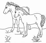 Ponies Kolorowanki Kucyk Cavalo Dzieci Bestcoloringpagesforkids Coloringfolder sketch template